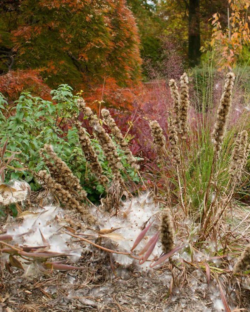 Incorporate Dried Seed Heads