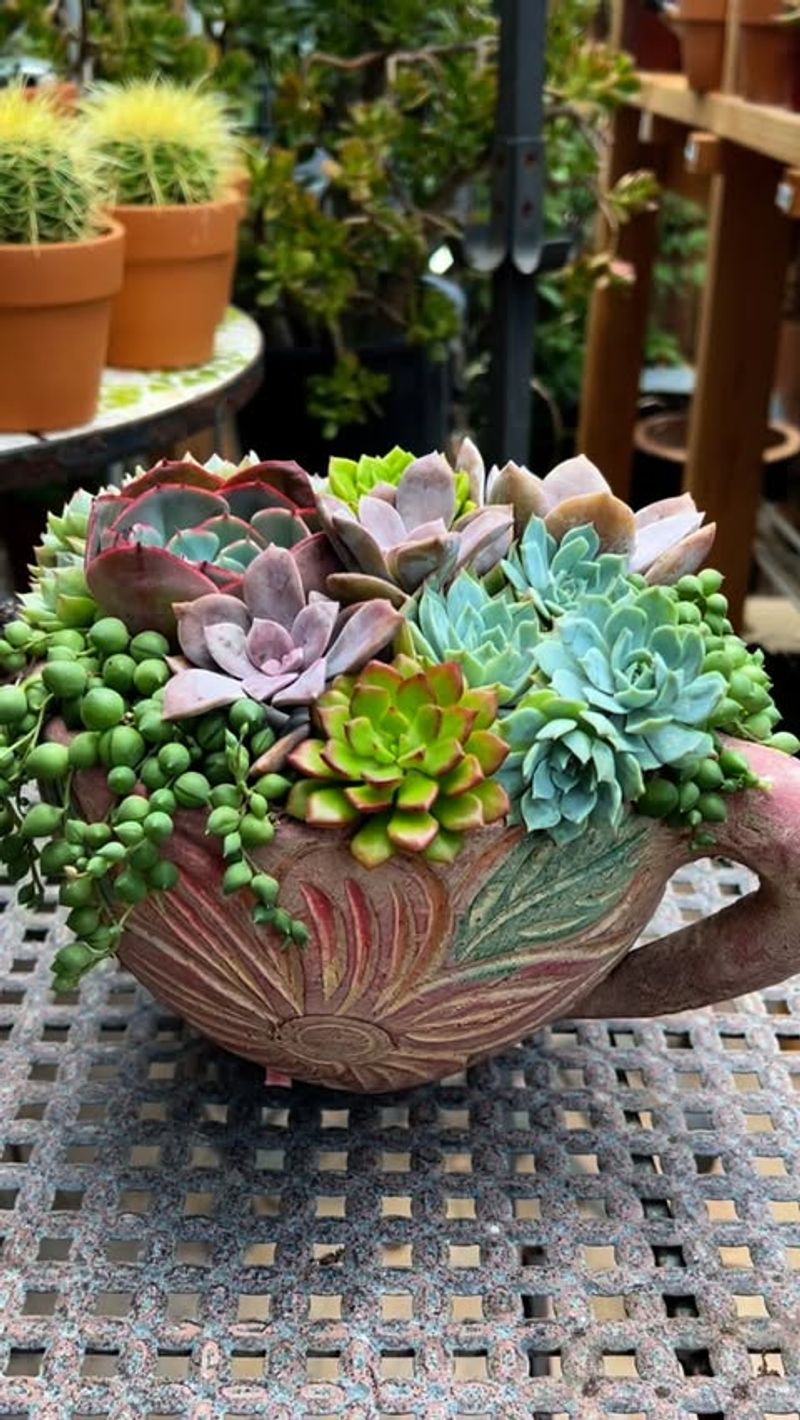 Design Drought-Tolerant Succulent Arrangements