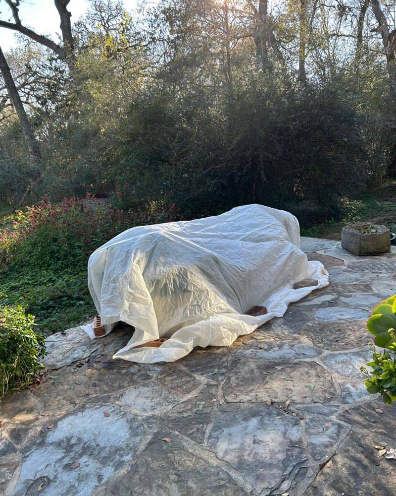 Protect Tender Perennials