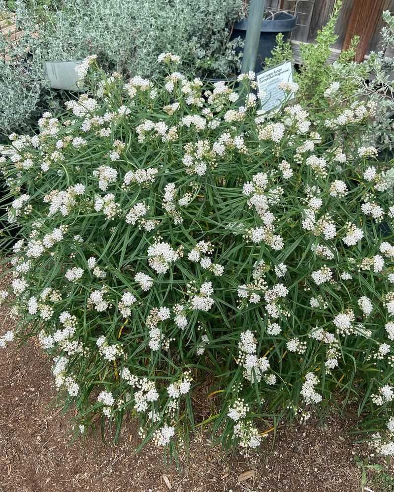 Supports Native Biodiversity Efforts