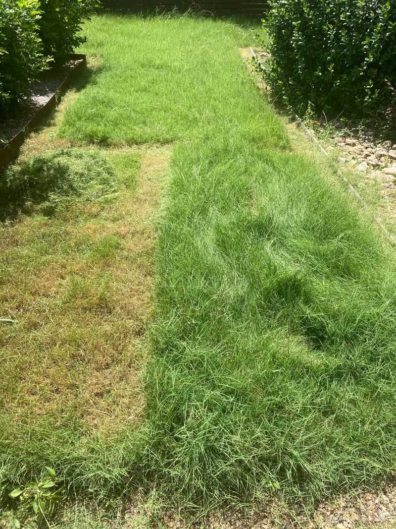 Mow When Grass Is Dry