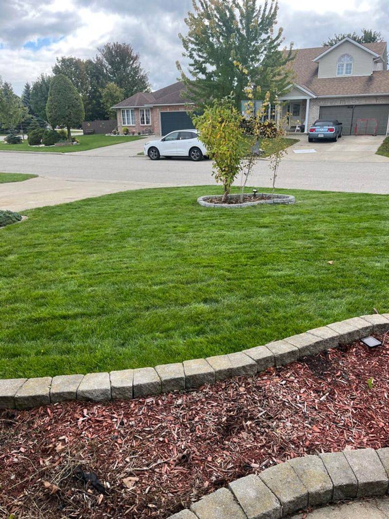 Keep Mowing Until Growth Stops