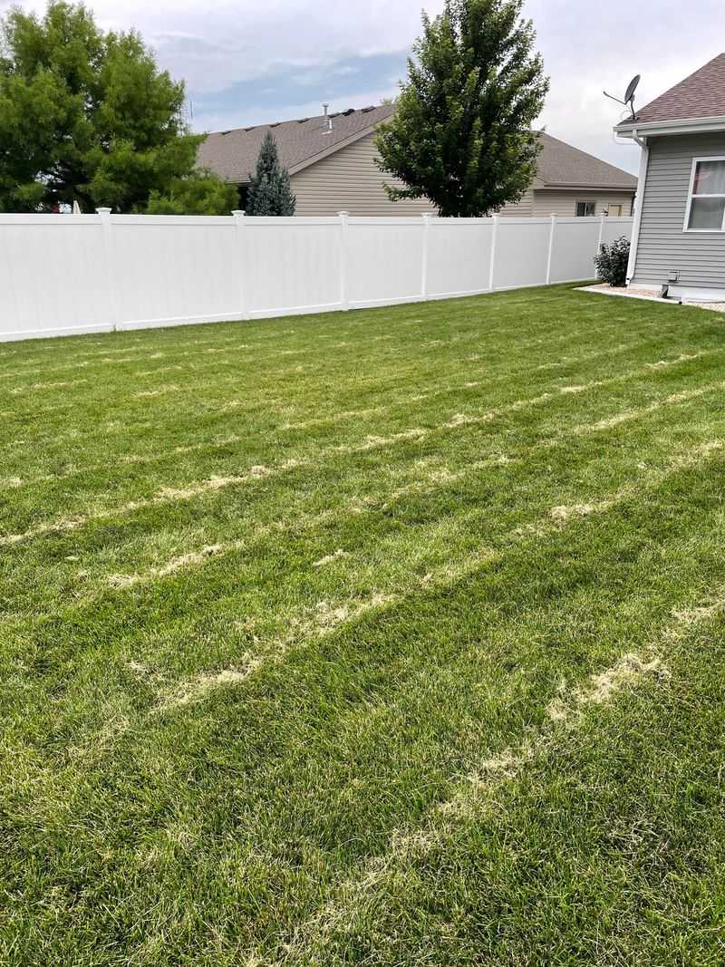 Remove Excess Leaves Before Mowing