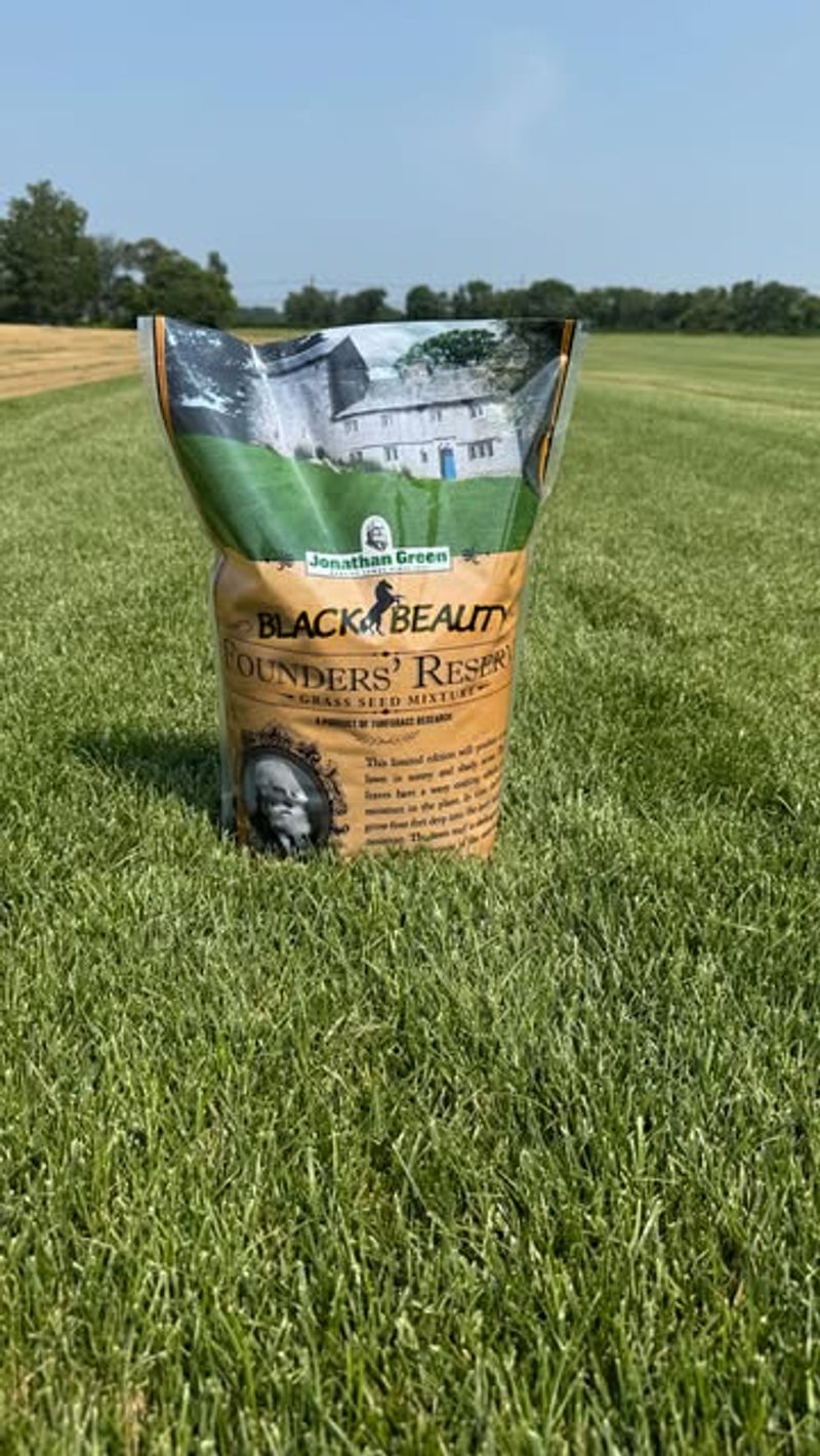 Choosing The Right Grass Seed For Ohio Lawns