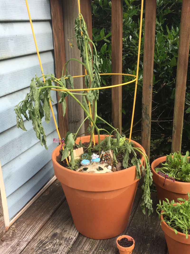 In Low-Lying Areas That Collect Water