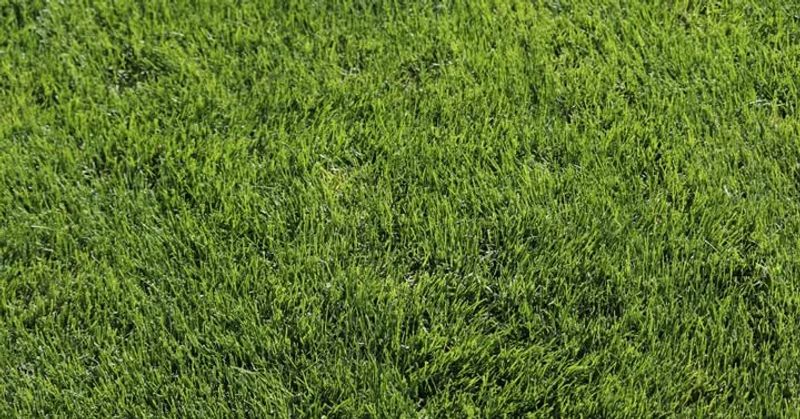 Fertilizing In Fall Is A Waste Of Money