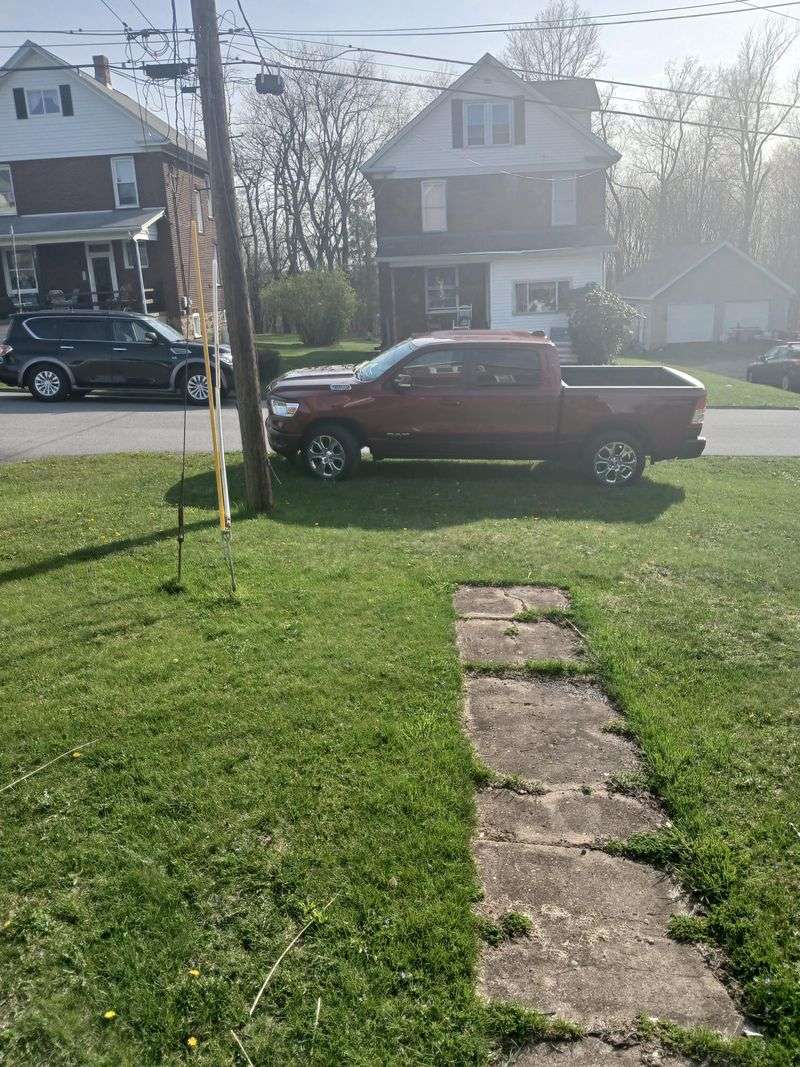 Parking Vehicles On Grass During Fall