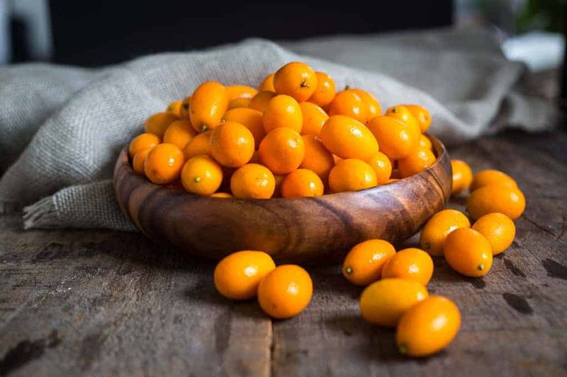 Kumquats: Bite-Sized Citrus For Container Culture