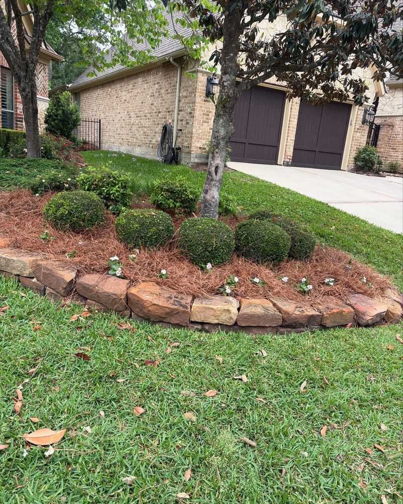 Cover Beds With Mulch