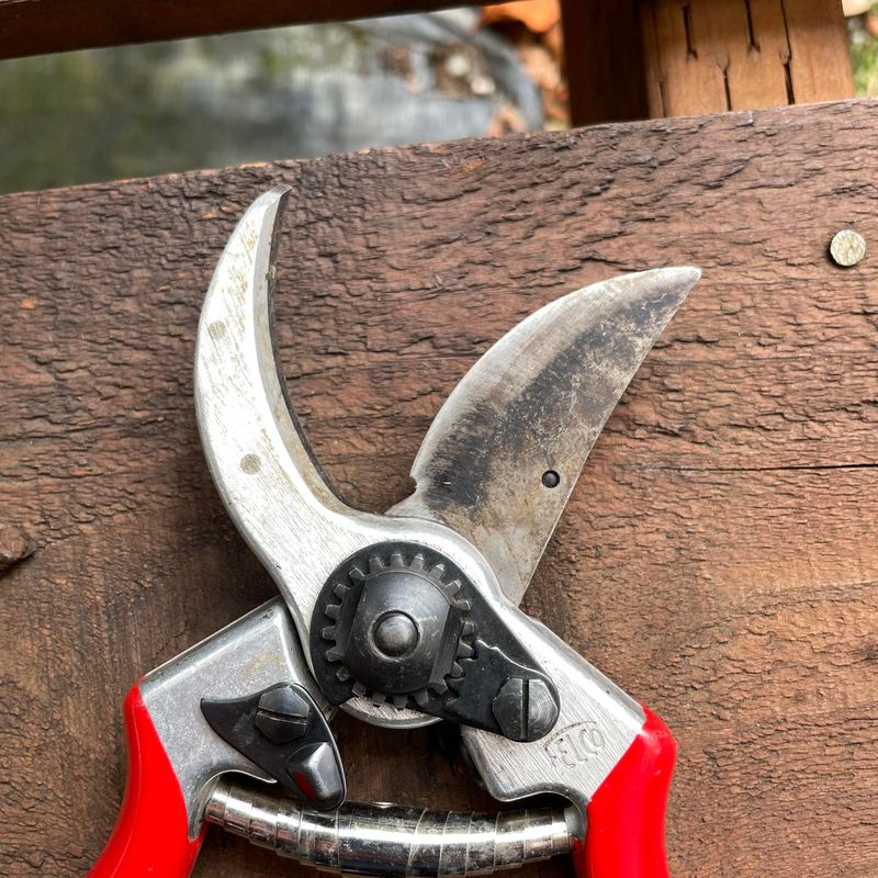 Sanitize Your Pruning Tools Between Cuts
