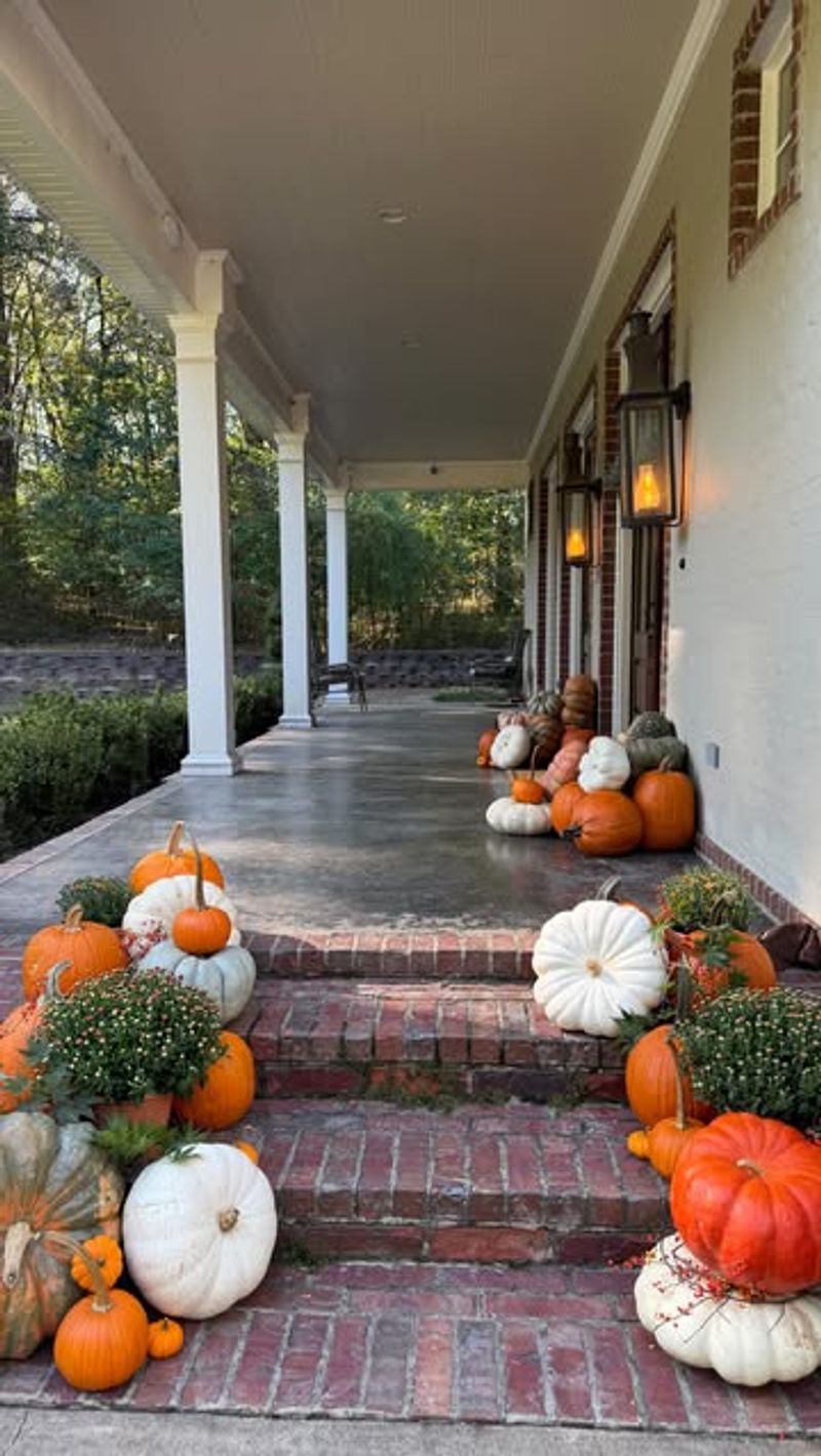Keep Pumpkins In Shaded Areas