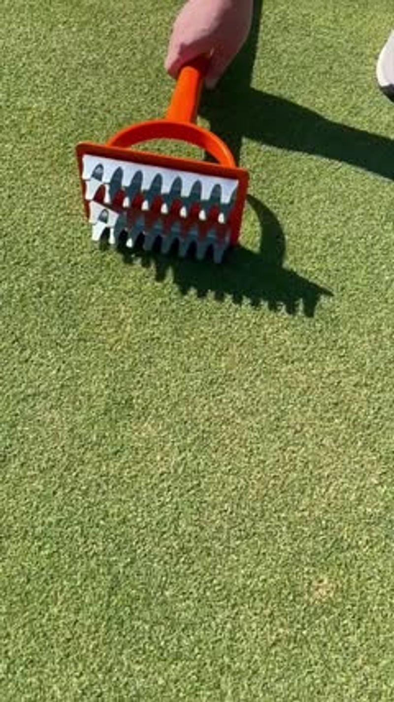 Ensure Good Seed-to-Soil Contact