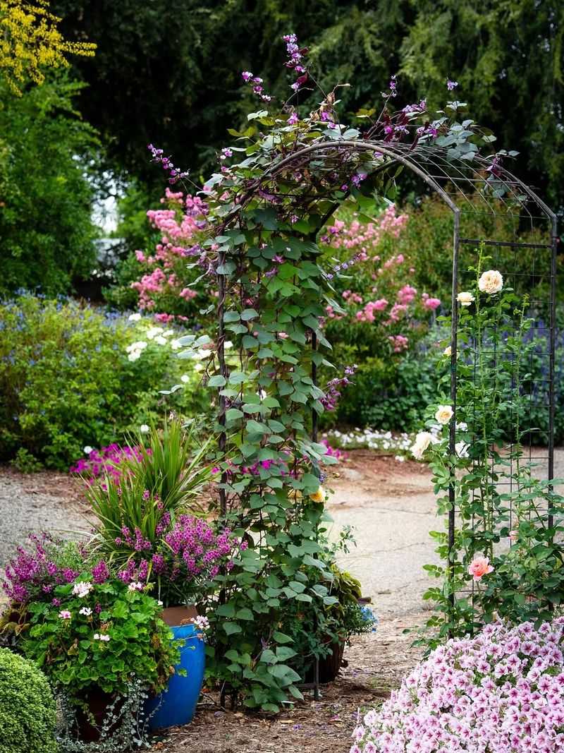 Drought-Tolerant Succulent-Covered Arbor