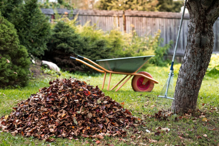 raking leaves (featured image)
