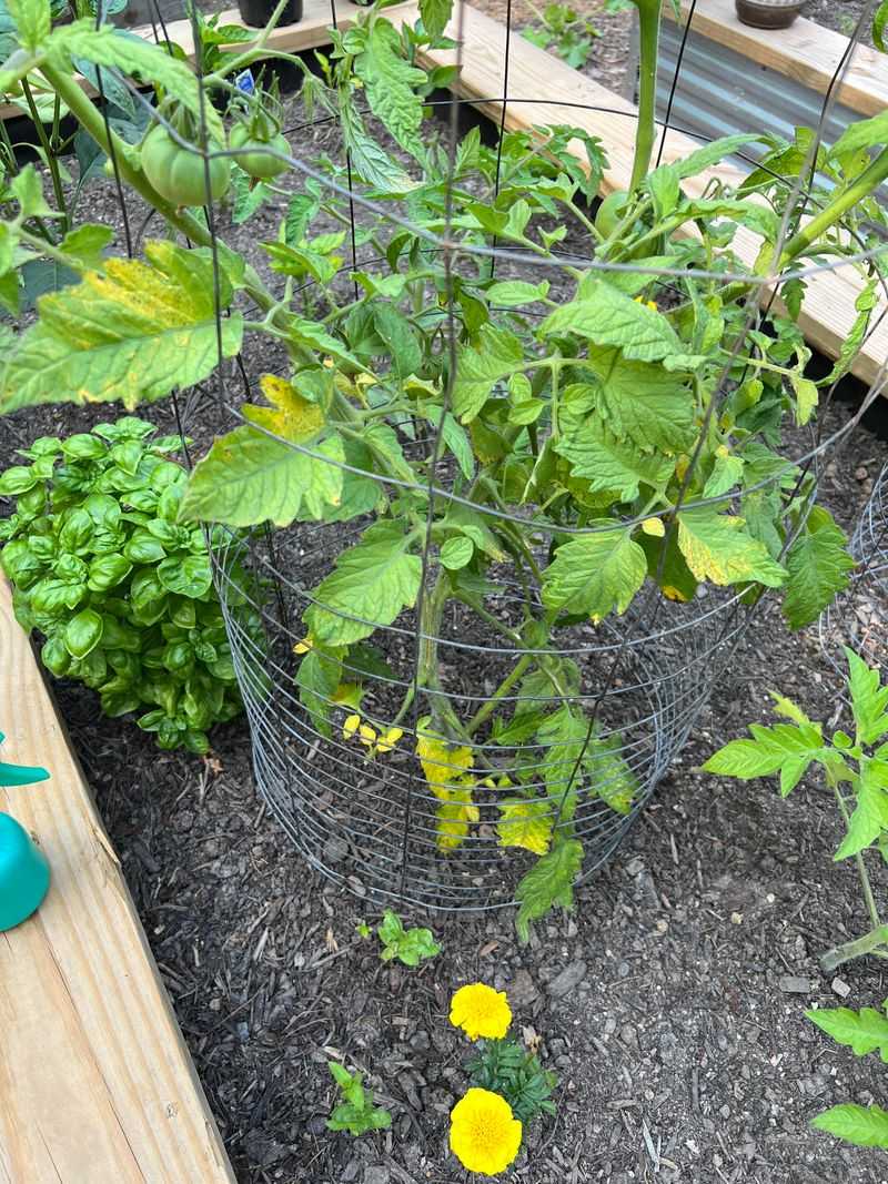 Spots With Compacted or Clay-Heavy Soil