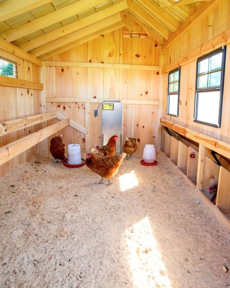 Unregistered Chicken Coops