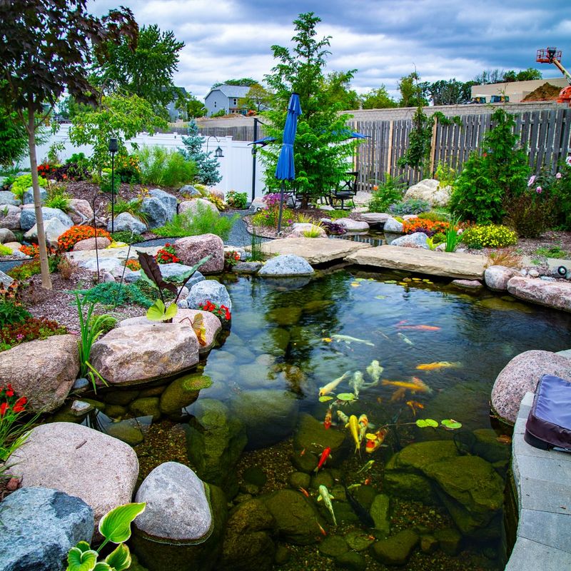 Water Features And Koi Ponds