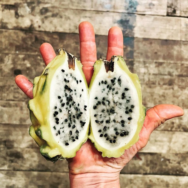 Dragon Fruit Seeds