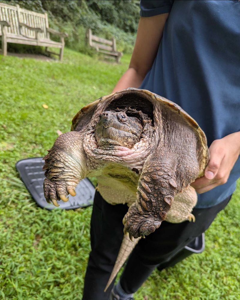 Contact Wildlife Experts When Needed