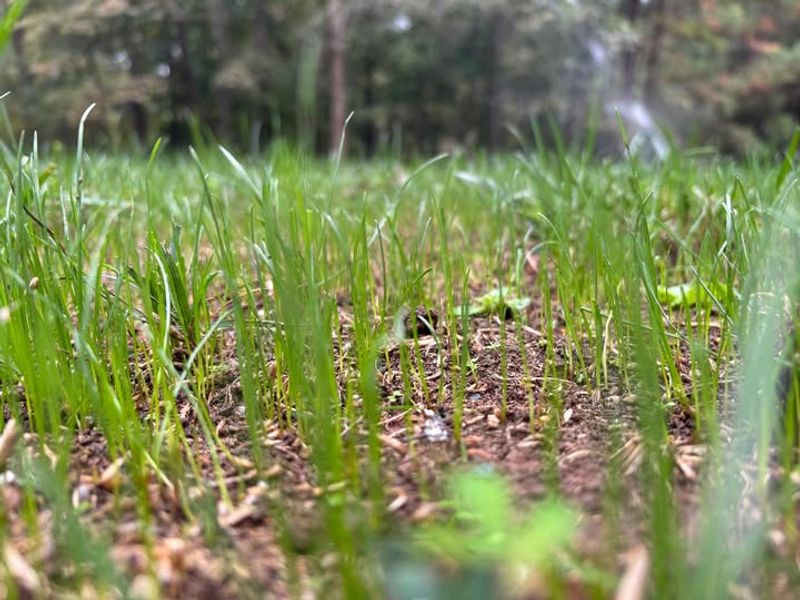 Monitor and Maintain in Spring