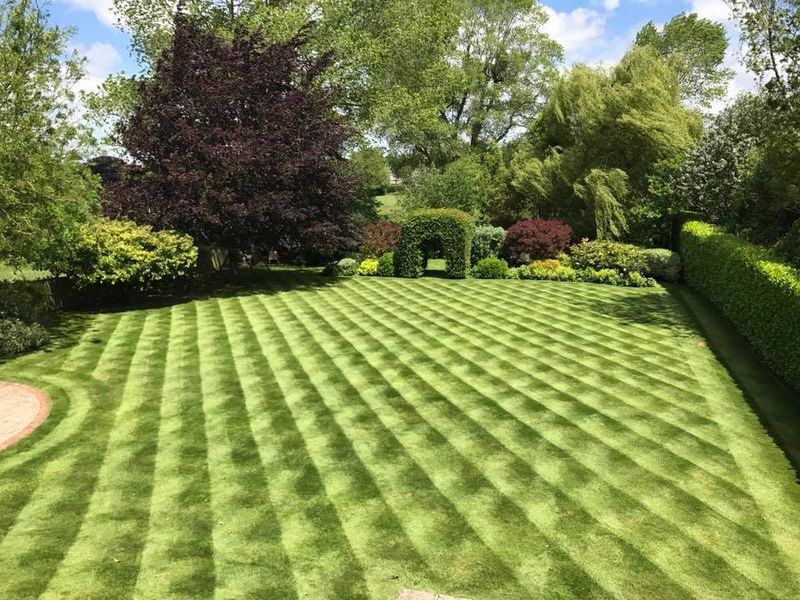 Change Your Mowing Pattern Each Time