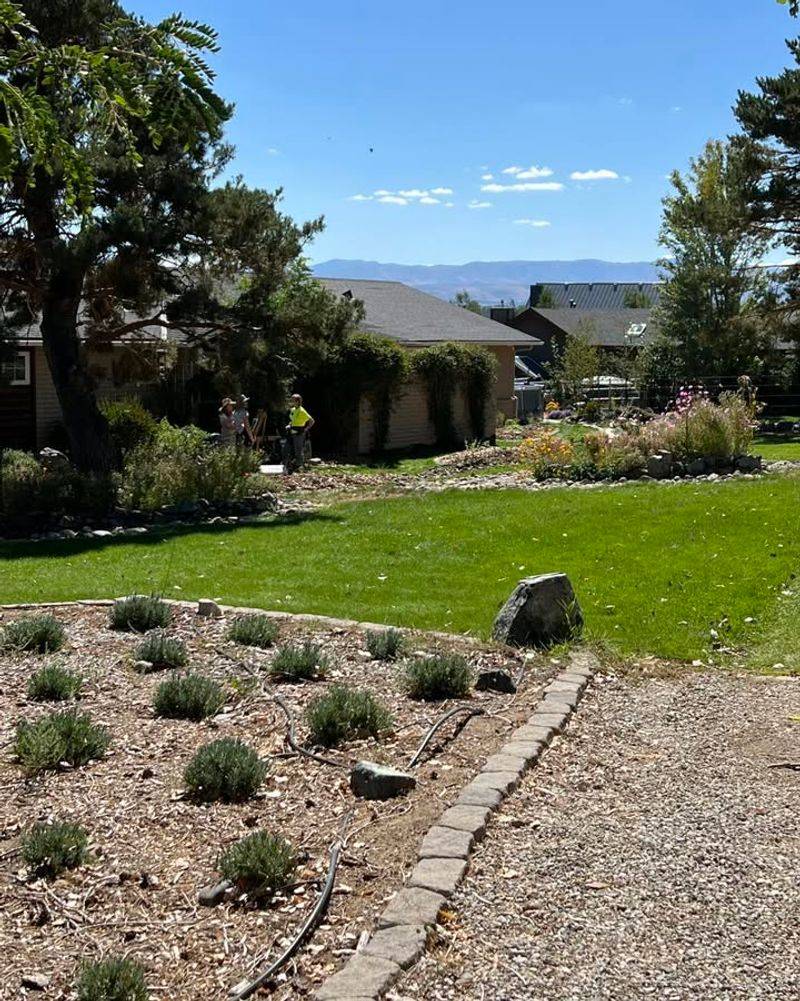 Mulch with Gravel Instead of Organic Materials