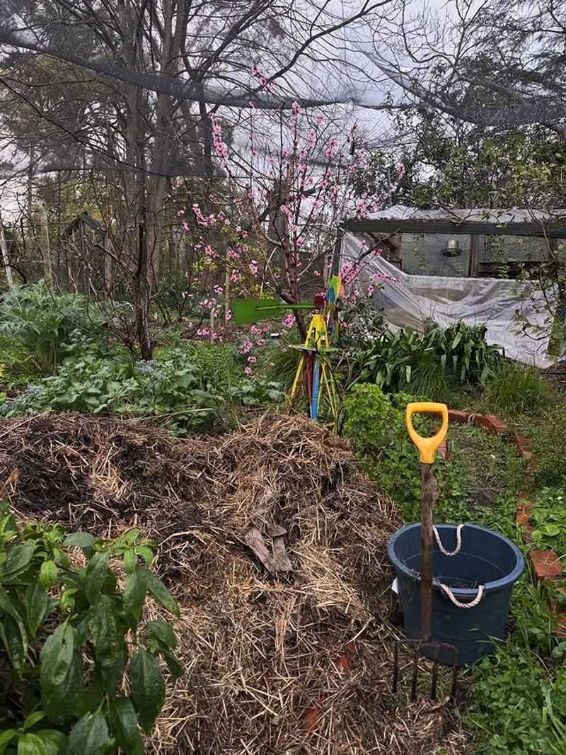 Proper Site Preparation Beats Perfect Timing
