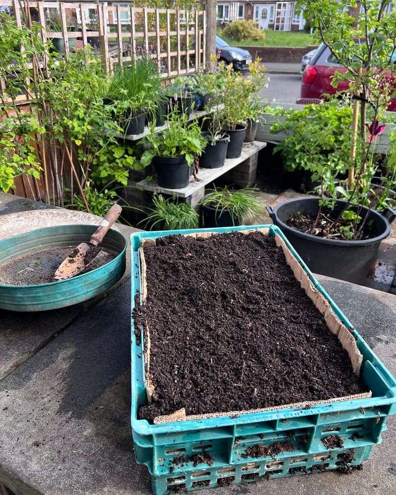 Use Slow-Release Fertilizer For Steady Growth
