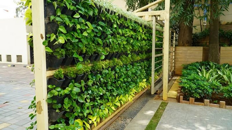 Vertical Garden Fence