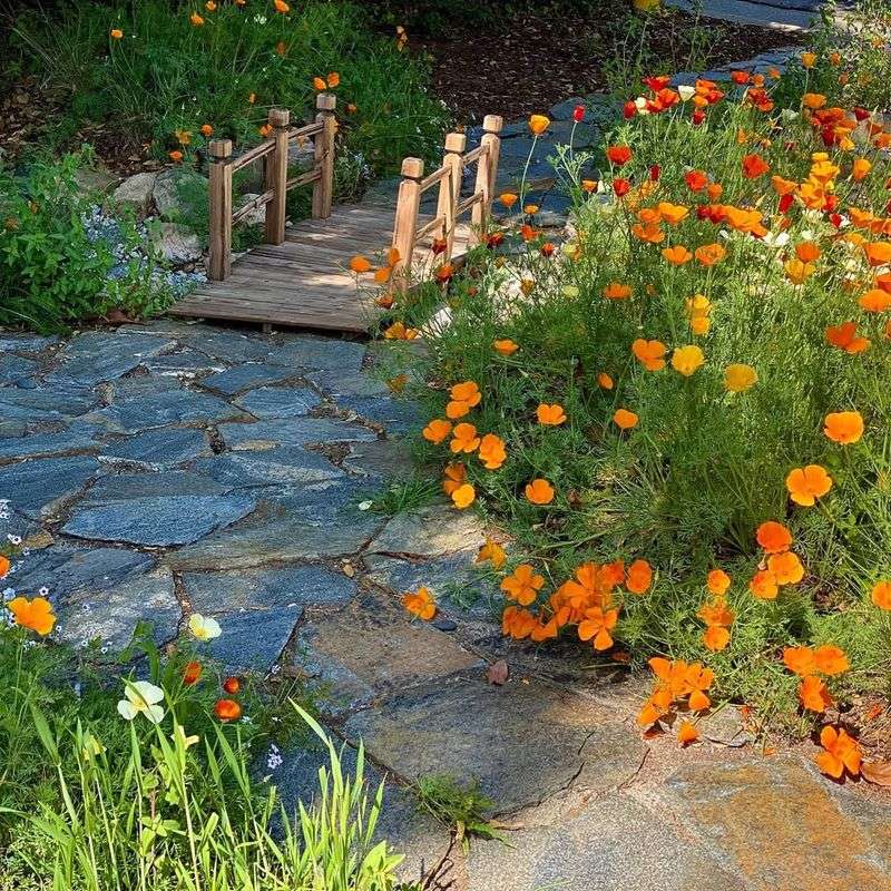 Mid-Morning on Overcast Days