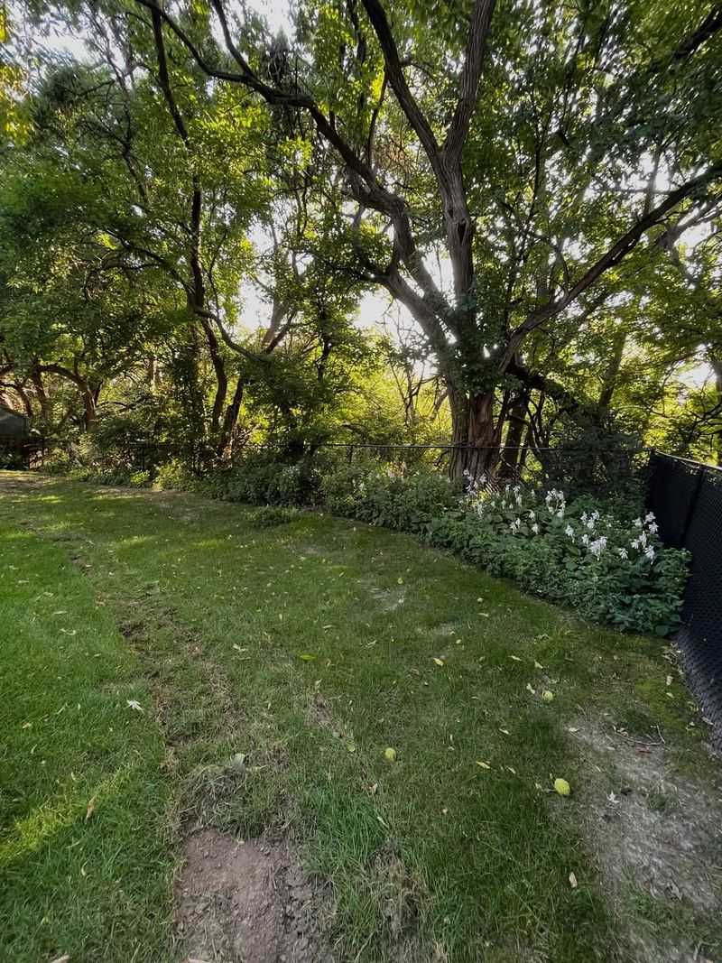 Property Boundary Lines