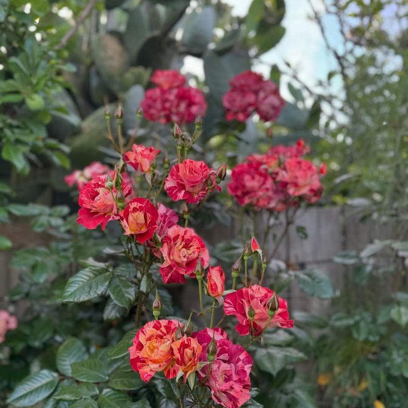 Earlier Blooms Next Spring