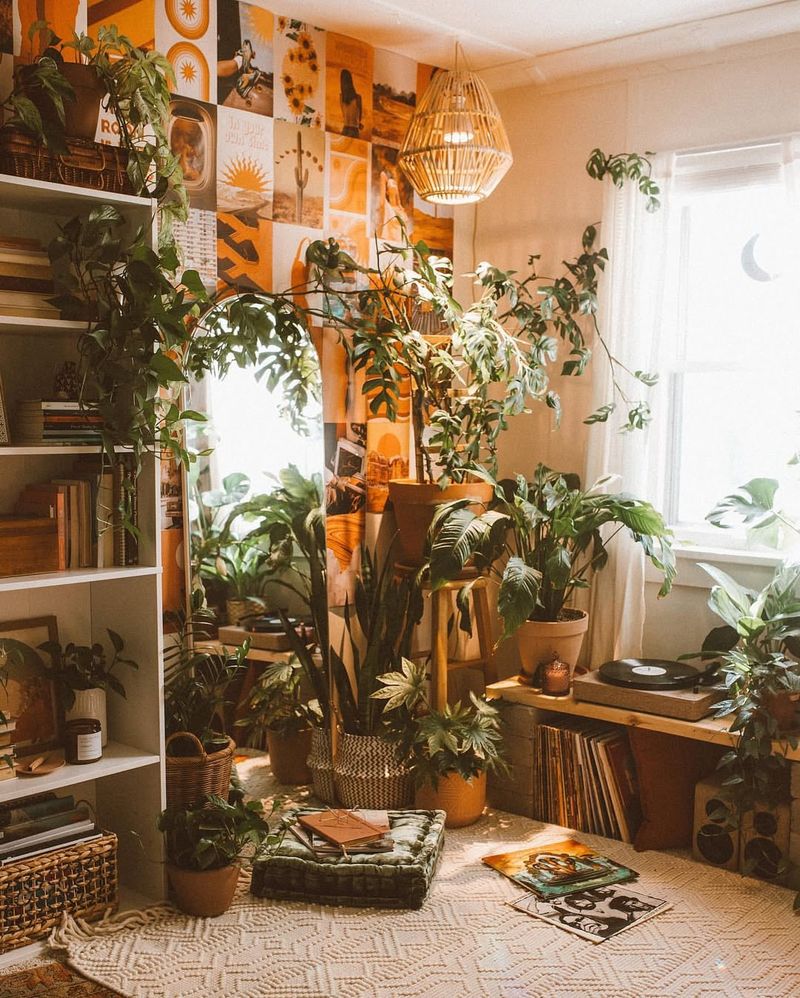 Indoor Plants Purify Air Significantly