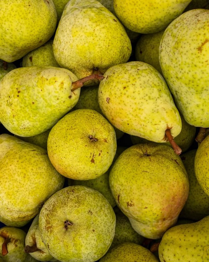 Pears