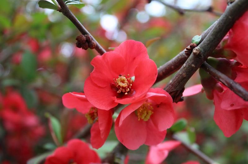 Handles Virginia's Temperature Swings With Ease