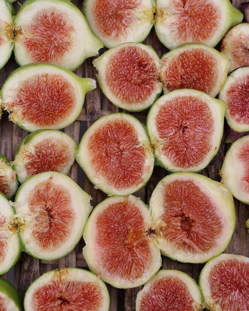 Figs: Ancient Fruits With Modern Container Appeal