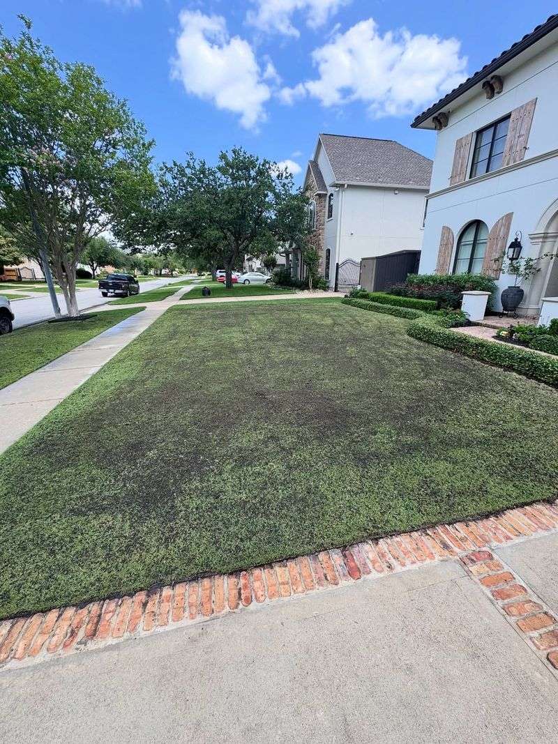 Strengthens Root Systems Before Winter