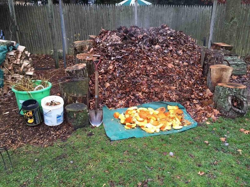 Compost Piles