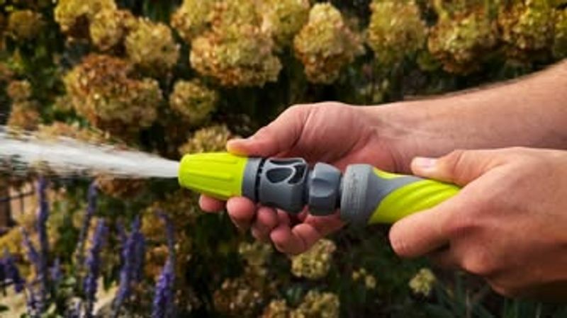 Spray Water From A Hose If Available