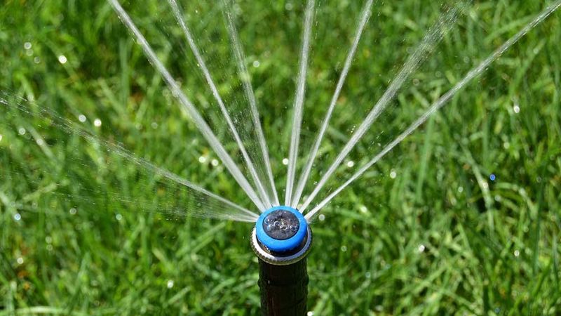 Use a Hose or Sprinkler System