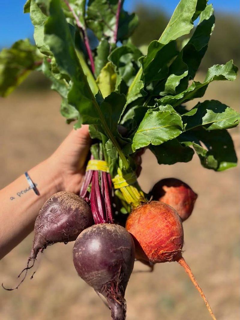 Beets