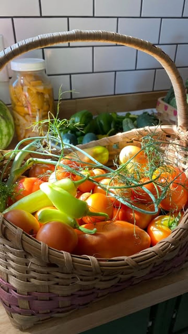Drying Herbs And Vegetables
