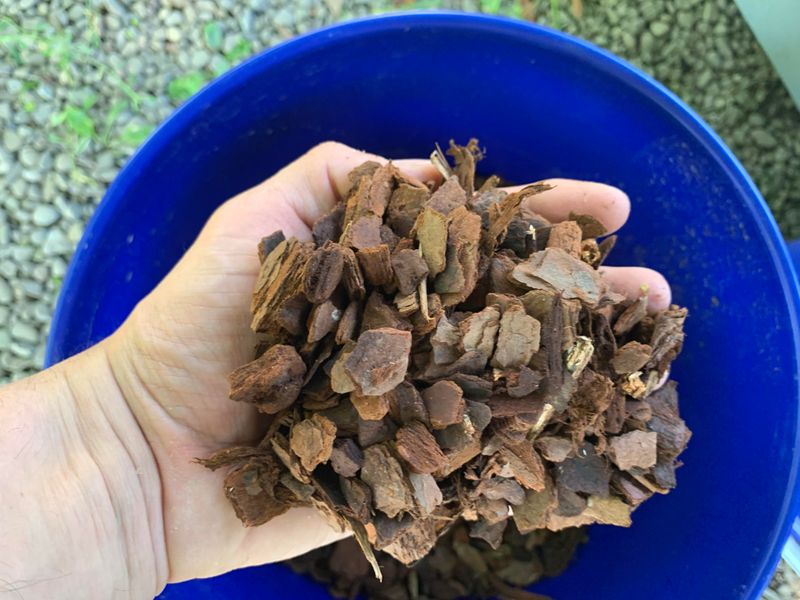 Pine Bark Nuggets