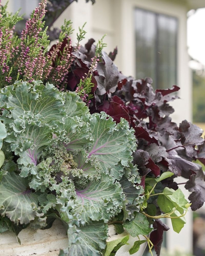 Kale