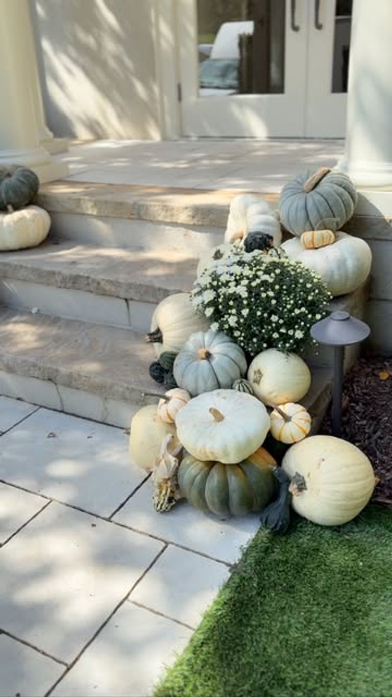 White Pumpkin Elegance with Dark Mums
