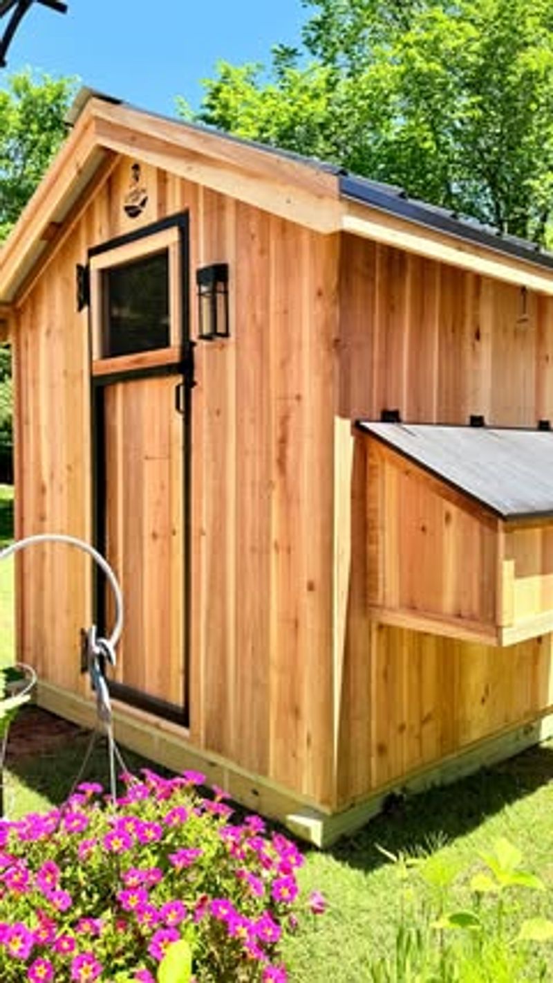 Chicken Coops