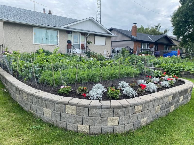 Front Yard Vegetable Gardens