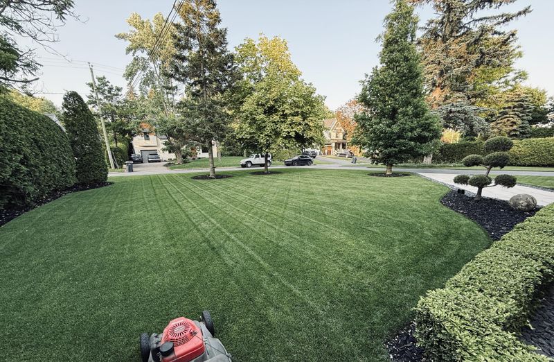 Reduce Mowing Frequency As Growth Slows