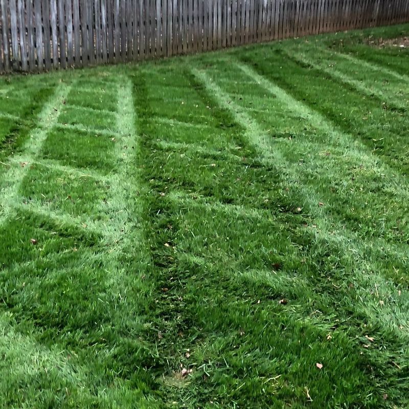 Leave Grass Clippings On The Lawn