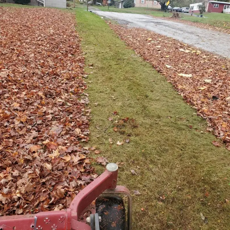 Clear Leaves Before Mowing